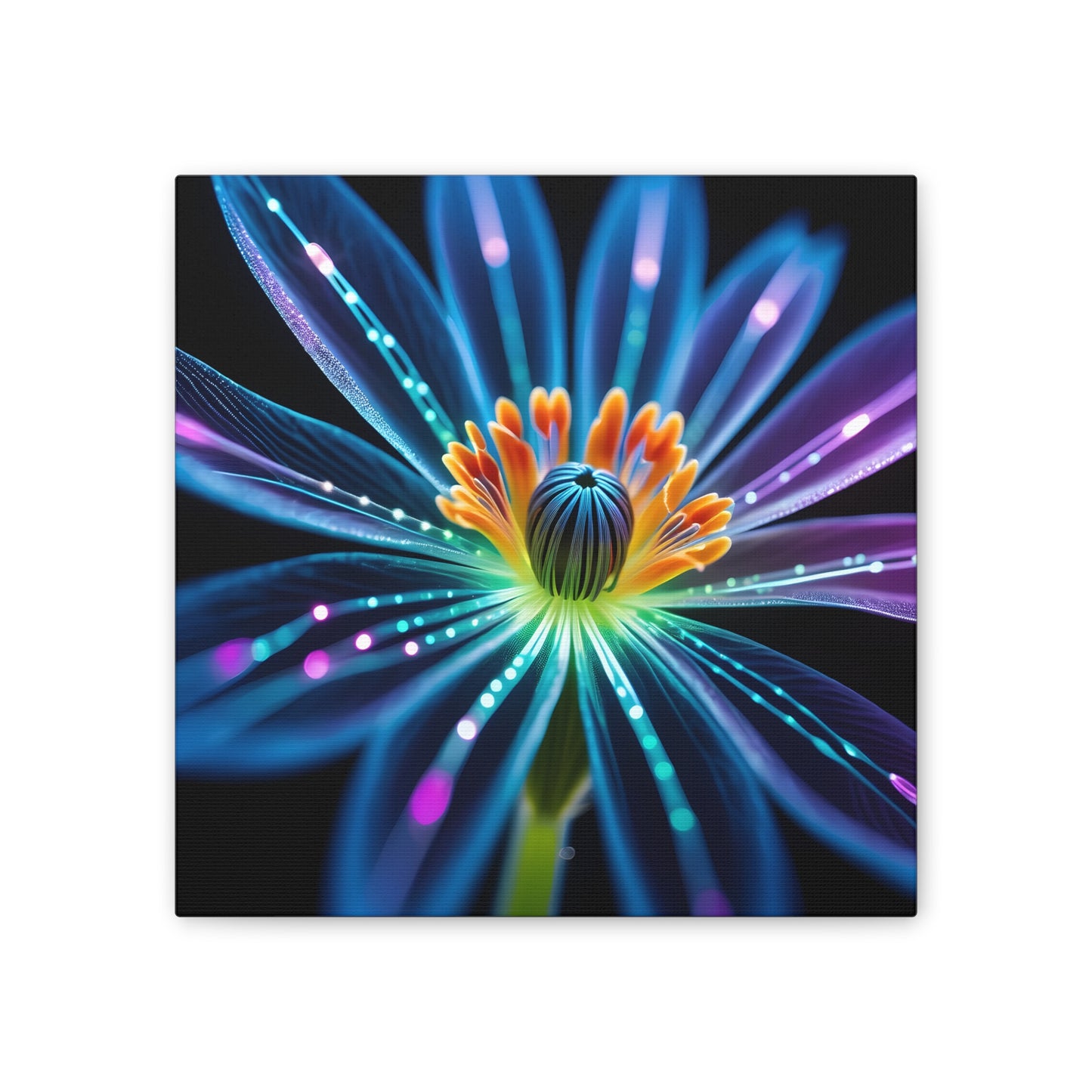 Blue Neon Fiber Optic flower Canvas Stretched, 0.75"