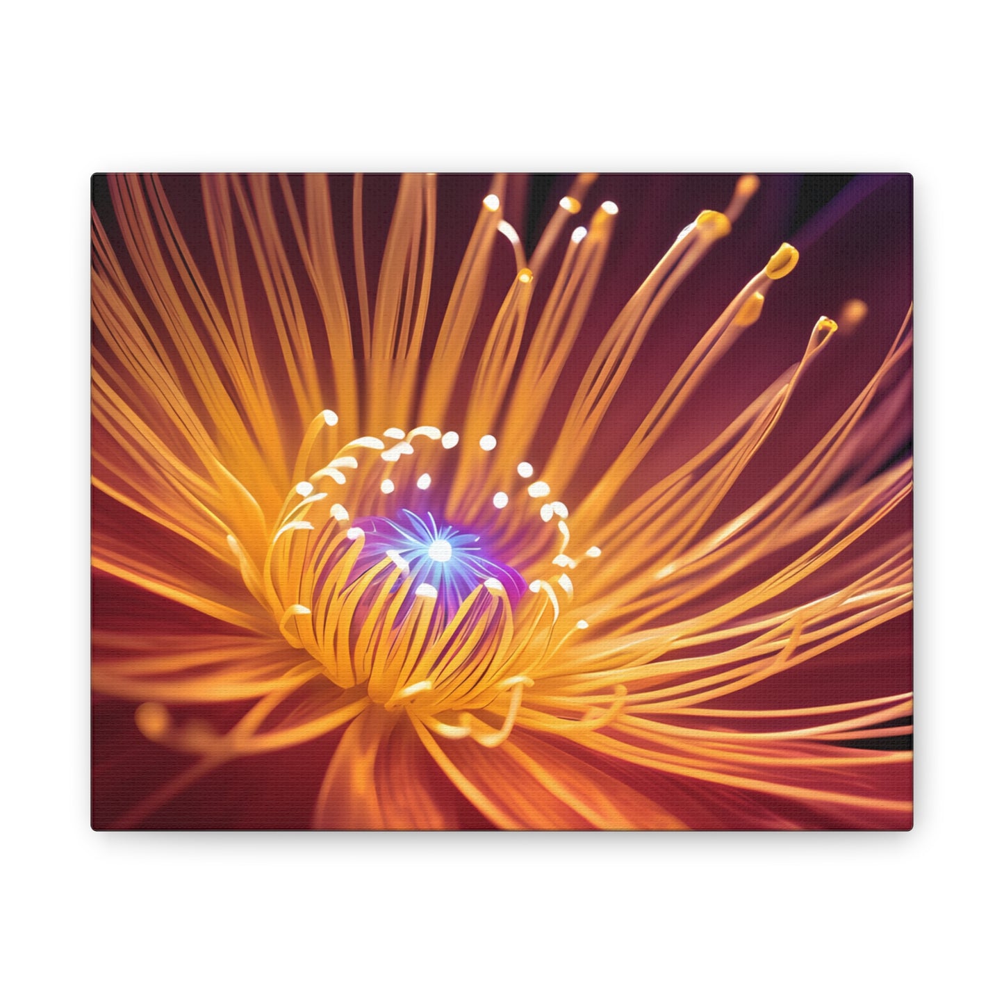 Orange Neon Fiber Optic flower Canvas Stretched, 0.75"