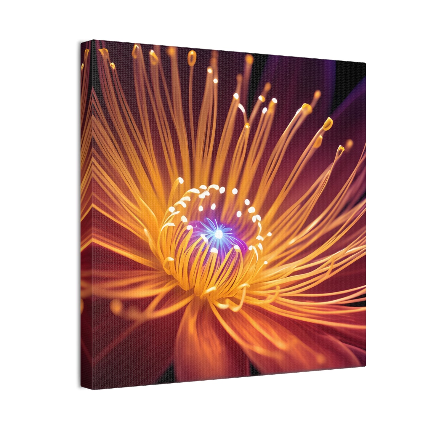 Orange Neon Fiber Optic flower Canvas Stretched, 0.75"