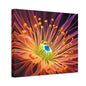 Orange Neon Fiber Optic flower 2.0 Canvas Stretched, 0.75"