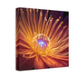 Orange Neon Fiber Optic flower Canvas Stretched, 0.75"