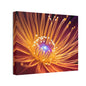 Orange Neon Fiber Optic flower Canvas Stretched, 0.75"