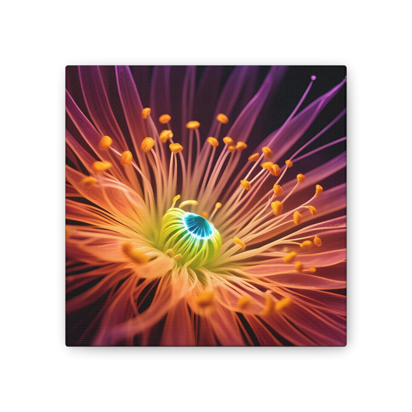 Orange Neon Fiber Optic flower 2.0 Canvas Stretched, 0.75"