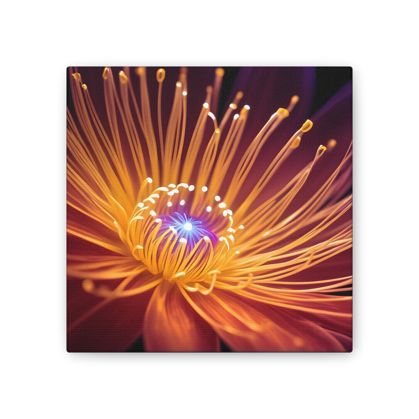 Orange Neon Fiber Optic flower Canvas Stretched, 0.75"