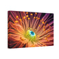 Orange Neon Fiber Optic flower 2.0 Canvas Stretched, 0.75"