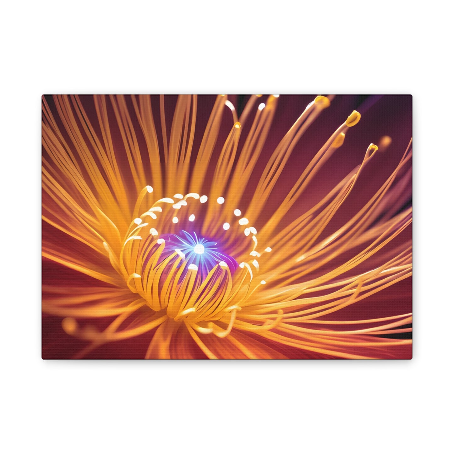 Orange Neon Fiber Optic flower Canvas Stretched, 0.75"