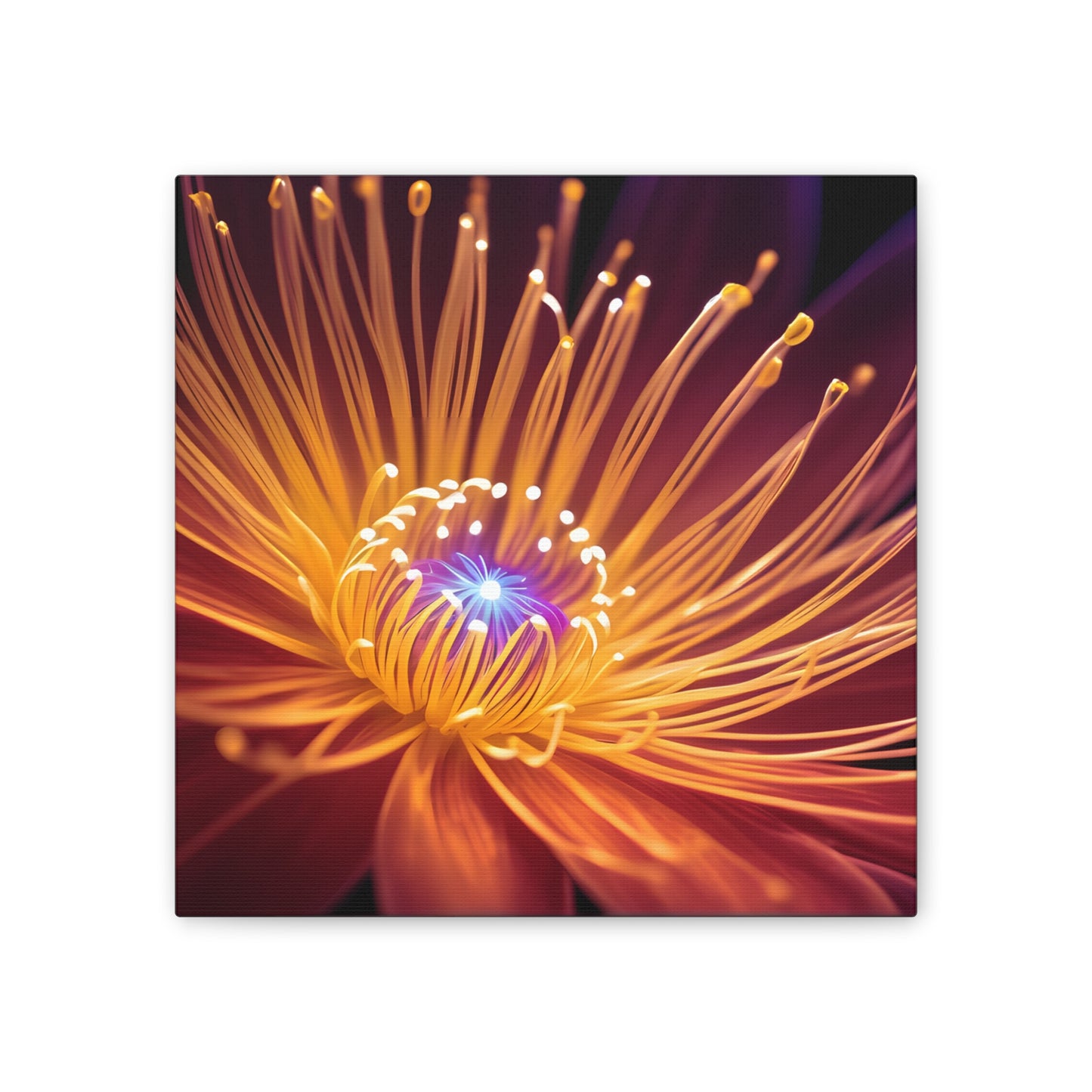 Orange Neon Fiber Optic flower Canvas Stretched, 0.75"