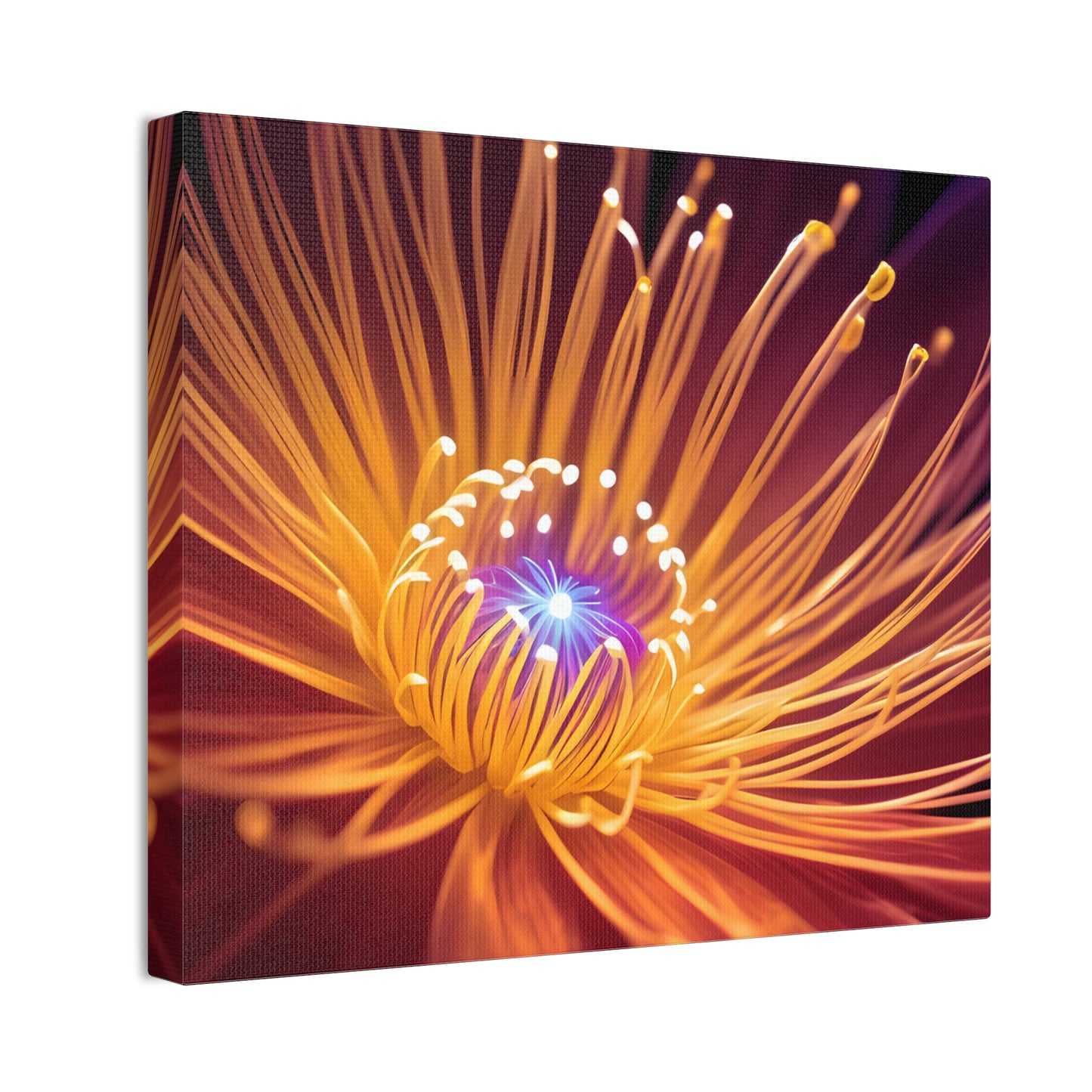 Orange Neon Fiber Optic flower Canvas Stretched, 0.75"