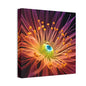 Orange Neon Fiber Optic flower 2.0 Canvas Stretched, 0.75"