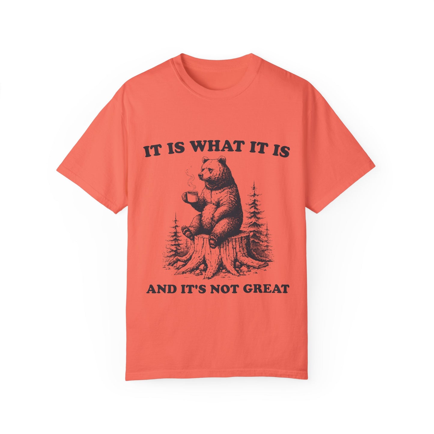 I do not think Unisex Garment-Dyed T-shirt